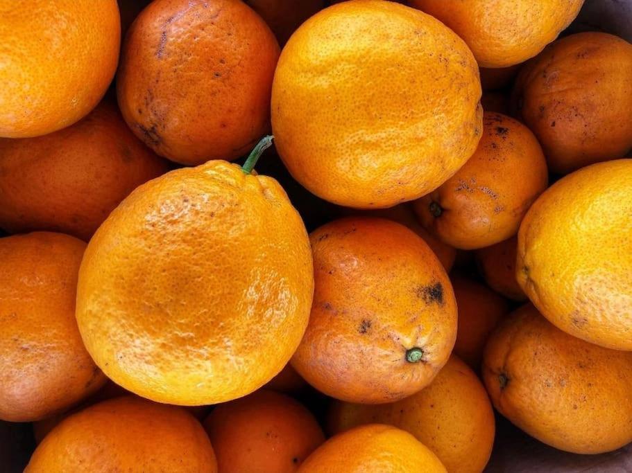 فيلا A Casa Do Soito أوليفيرا دو هوسبيتال المظهر الخارجي الصورة